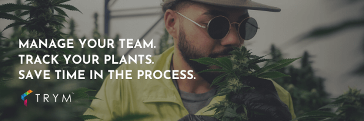 Apex Trading Service Partner Trym Cannabis Cultivation Software