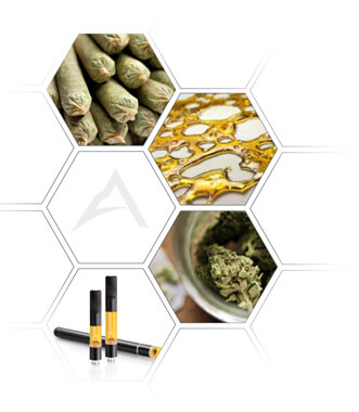 Seller How-to: Creating an Account and setting up your Wholesale Cannabis Company Profile Seller How-to: Creating an Account and setting up your Wholesale Cannabis Company Profile