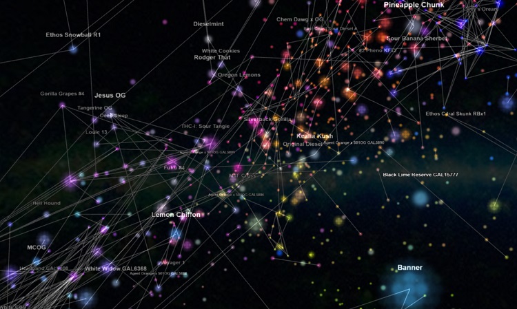 A Funky Trip Around the Phylos Galaxy A Funky Trip Around the Phylos Galaxy