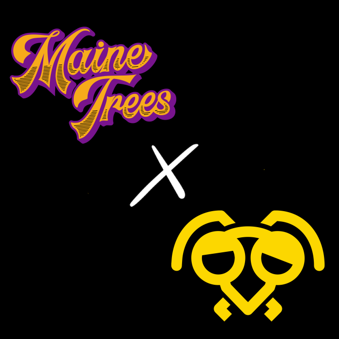 Maine Trees / B’s Trees