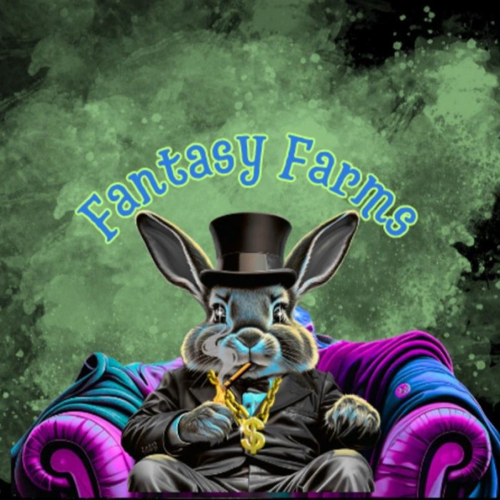 Fantasy Farms LLC