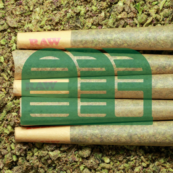 Green Trap Medical LLC