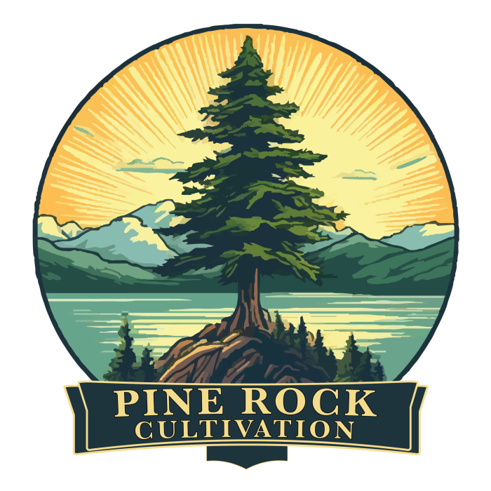 Pine Rock Cultivation