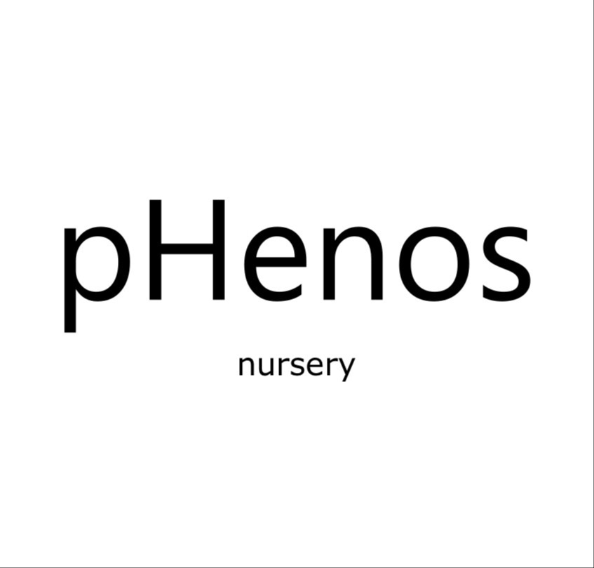 pHenos