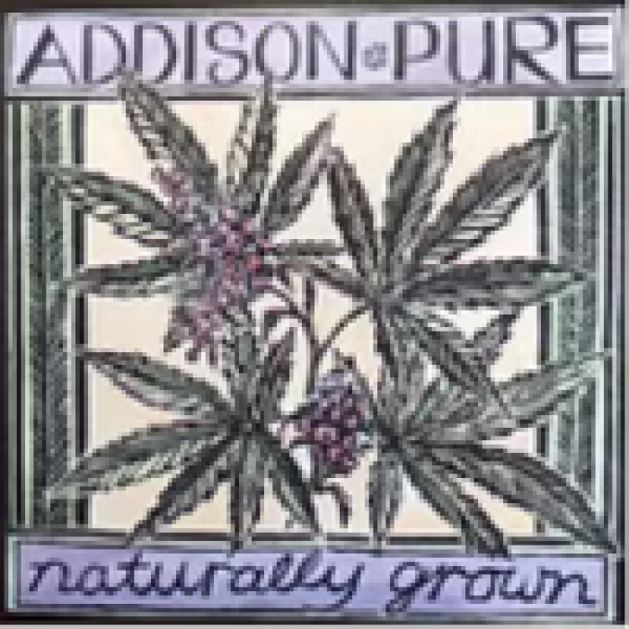 Addison Pure